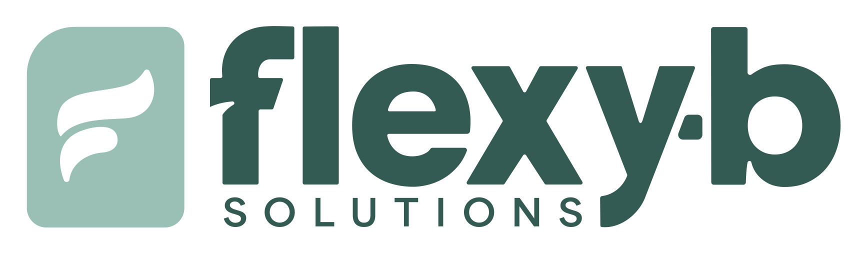 FlexyB Solutions